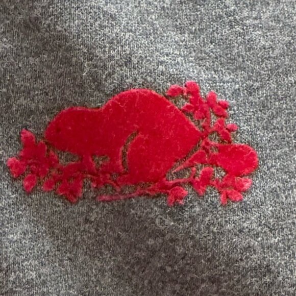 Roots Kids Canada Sweats Hoodie Hooded Kanga Pocket Sweatshirt Youth 13/14 - Picture 9 of 9